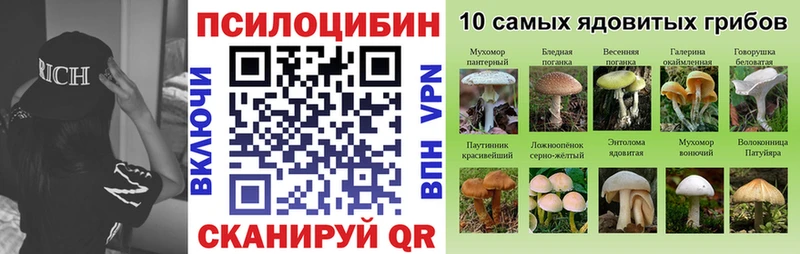 Галлюциногенные грибы мухоморы  Купить закладки  Каменка 